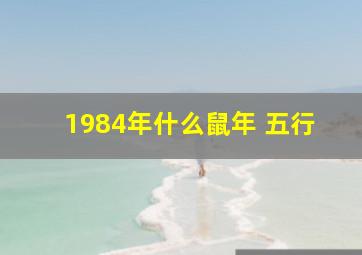 1984年什么鼠年 五行